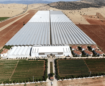 Özel Dizayn Seraları