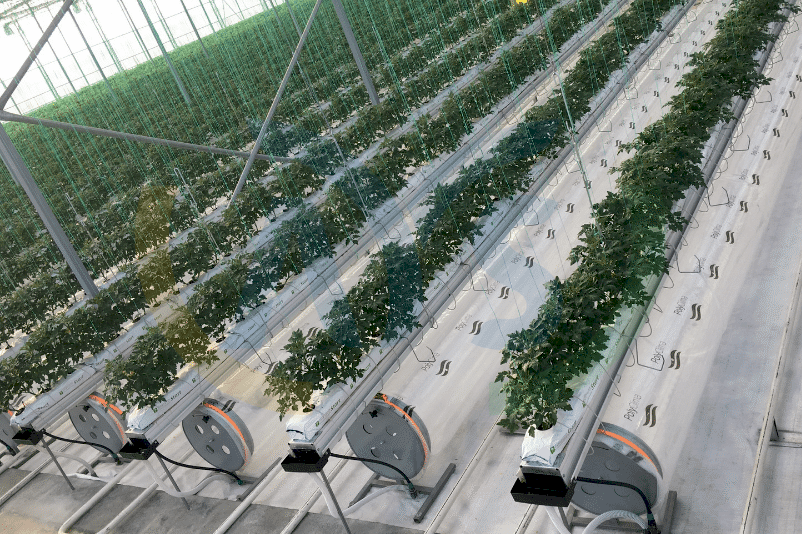 ays proje soğutma sistemli seraları