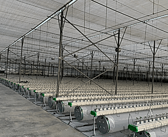 Soğutma Sistemli Seraları