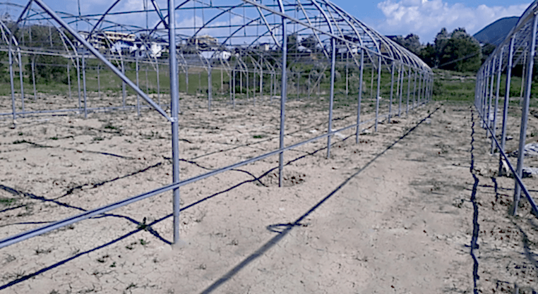 polyclima sogutmalı sera sistemleri