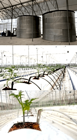 Sulama Gübreleme Sistemleri