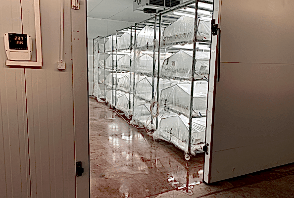 fidelik ekipmanları, aşı odası, çimlendirme odası, yoğun bakım odası