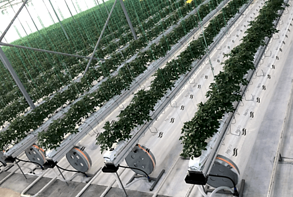 polyclima evo paratif, yüzde yüz verim