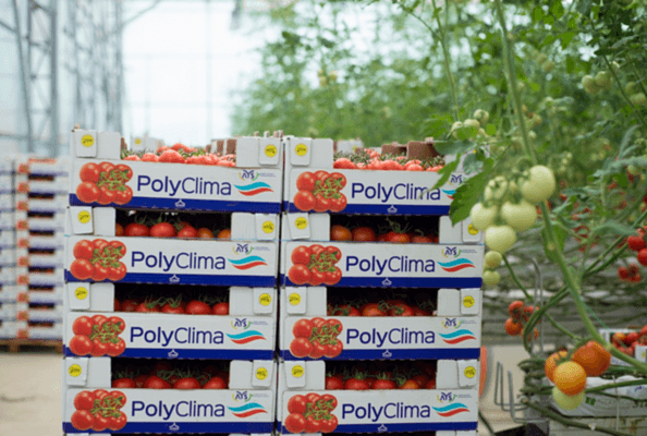 nem yönetimi, polyclima,iklim yönetimi